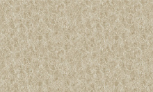 Bruno Zoff Gold 60120-2