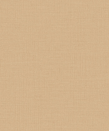 Однотонные коричневые обои (фон) Grandeco Little Dreamers LD 1021