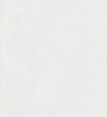 Метровые обои Bernardo Bartalucci Gaga  84284-9