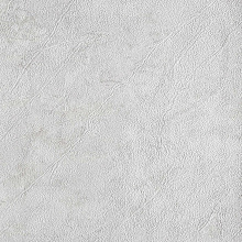 Yien Colorshok 10-236
