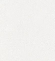 Метровые обои Bernardo Bartalucci Gaga  84284-4