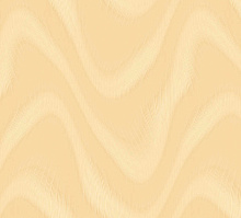Adawall Anka 1611-2